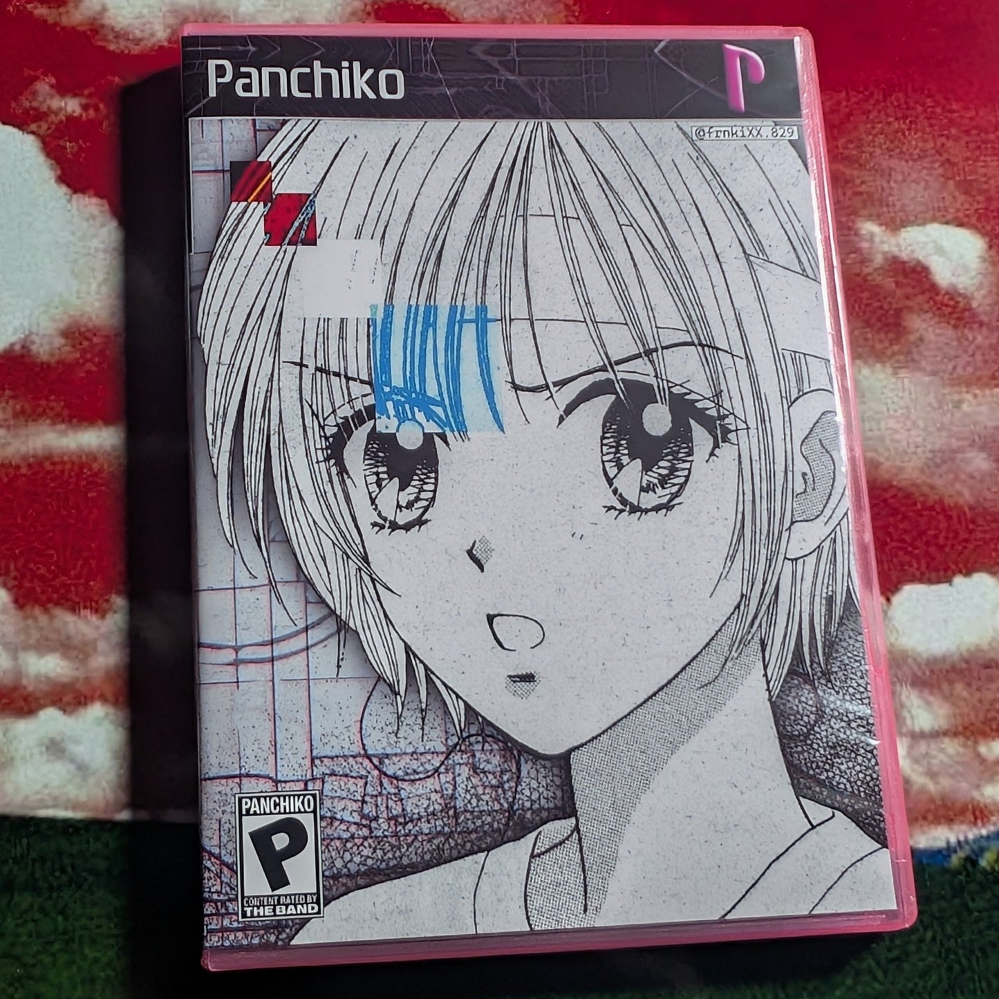 Panchiko Game Case