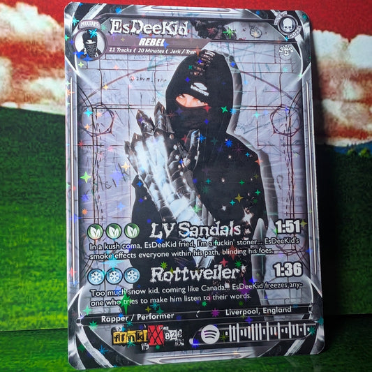 EsDeeKid Holographic Trading Card